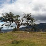 Le Lechero (près d'Otavalo) - Equateur - l'autre ailleurs en Equateur