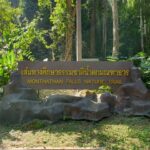 un petit écrin de verdure avec une petite cascade juste avant d'arriver à Doi Suthep près de Chiang Mai.