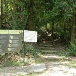 départ de ma petit randonnée à Monthathan Falls (Nature Trail) sur la route pour aller à Doi Suthep.