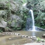 durant ma petit randonnée à Monthathan Falls (Nature Trail) sur la route pour aller à Doi Suthep.