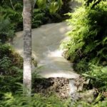 Bua Thong Waterfall près de Chiang Mai - l'autre ailleurs en Thaïlande, une autre idée du voyage