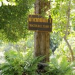 Bua Thong Waterfall près de Chiang Mai - l'autre ailleurs en Thaïlande, une autre idée du voyage