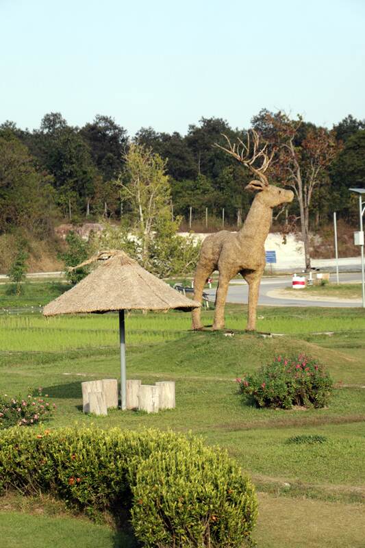 lac huay tueng thao chiang mai 3790