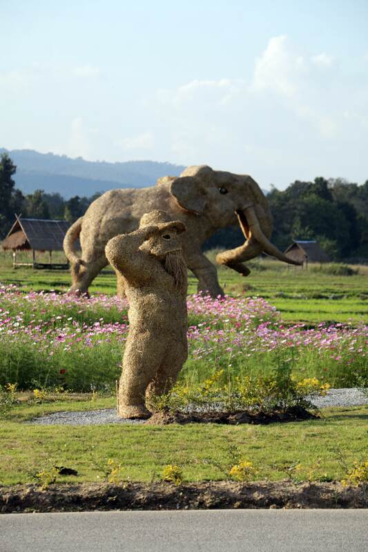 lac huay tueng thao chiang mai 3795