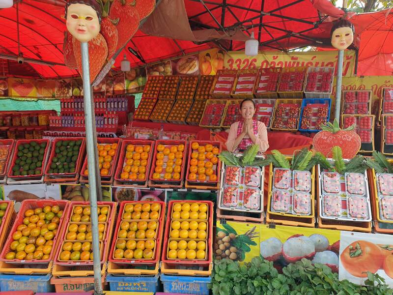 marchande de fruits alentours de chiang mai 100106