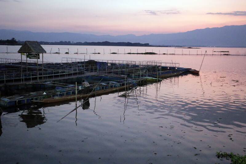 lac de phayao 4046