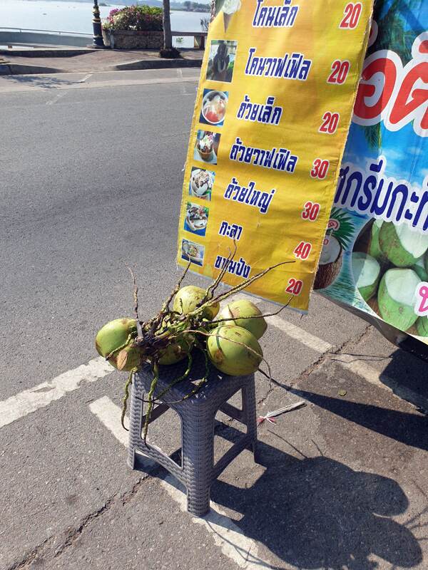 marchand de noix de coco a boire le long du lac de phayao