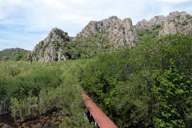 mangrove parc national khao sam roi yot hua hin 9198