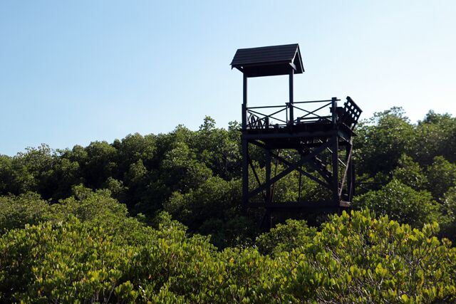 mangrove pranburi forest park 9300