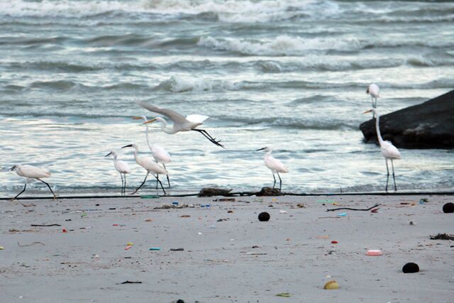 plage de hua hin 9167