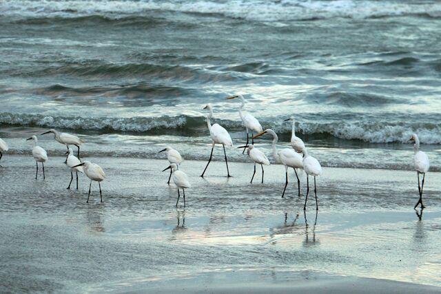 plage de hua hin 9170