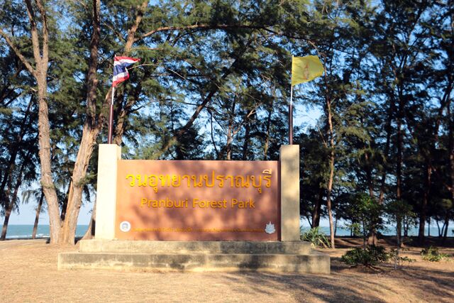 pranburi forest park 9324