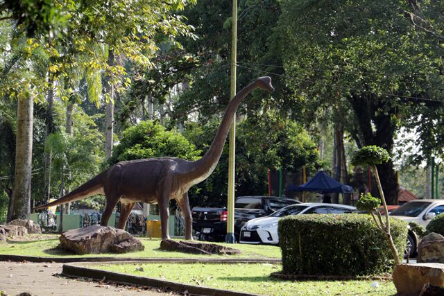 Hat Yai Municipal Park 9586