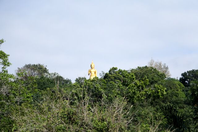 Hat Yai Municipal Park 9589