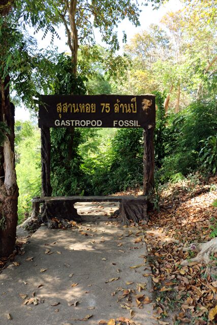 Shell Cemetery Krabi 0166