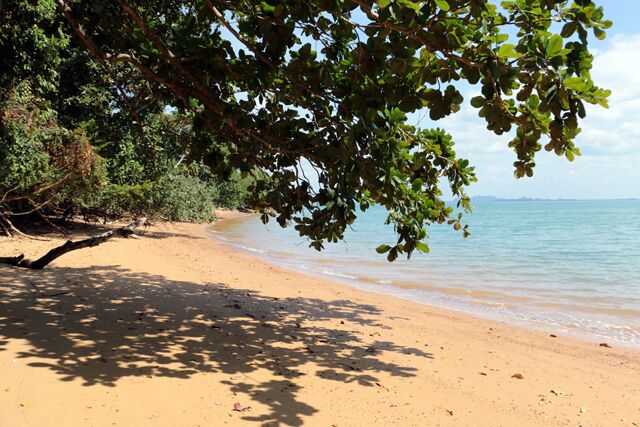 Shell Cemetery Krabi 0177