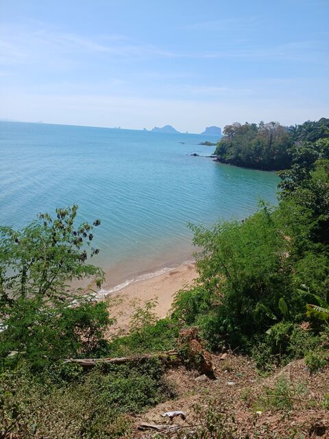 Shell Cemetery Krabi 131329