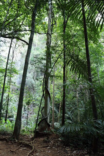 Tiger Cave (Wat Tham Suea) Krabi 0273