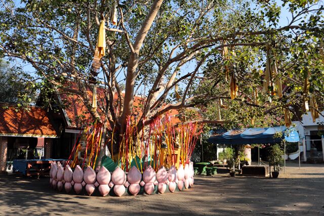 Wat Phrathat Doi Saket Chiang Mai 0486