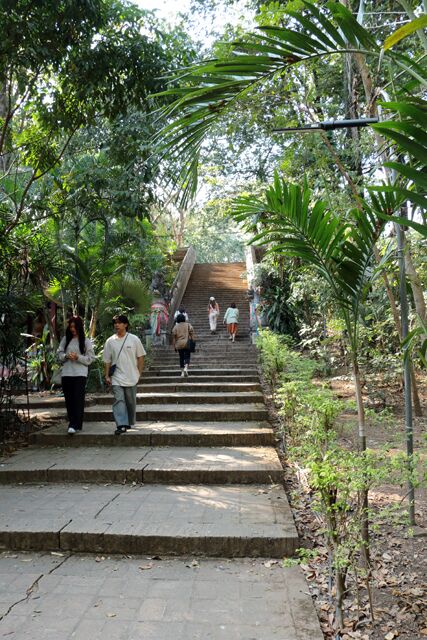 Wat Umong chiang Mai 0827